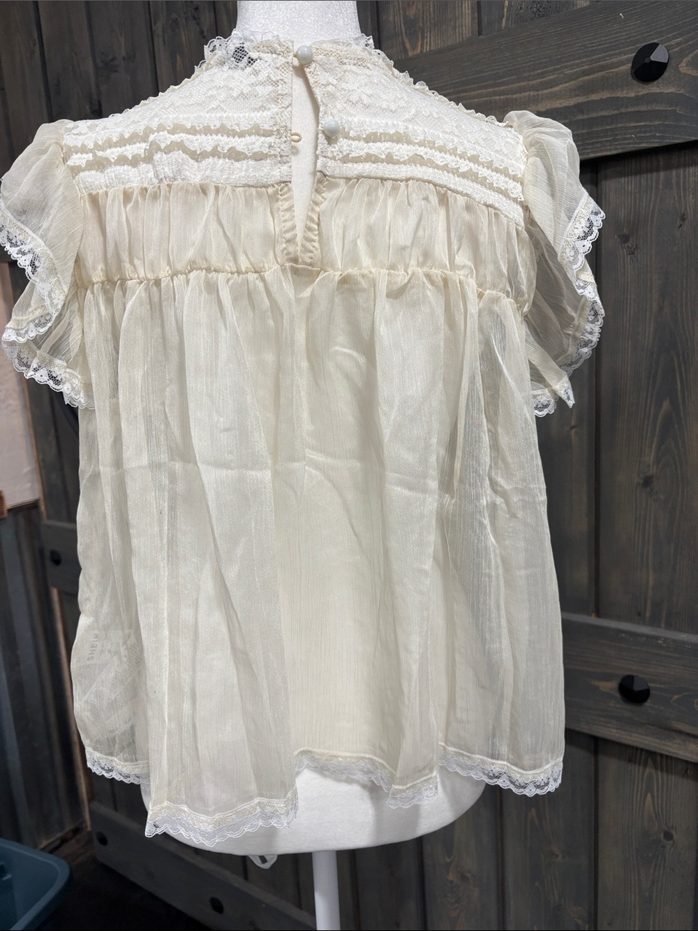 Sheer Delicate Ivory Lace-Trim Flutter Sleeve Top - Picture 2 of 3